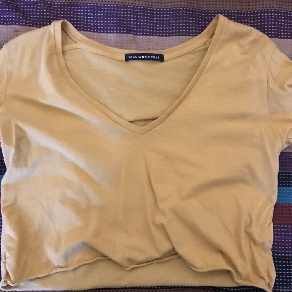 Brandy Melville cropped v neck